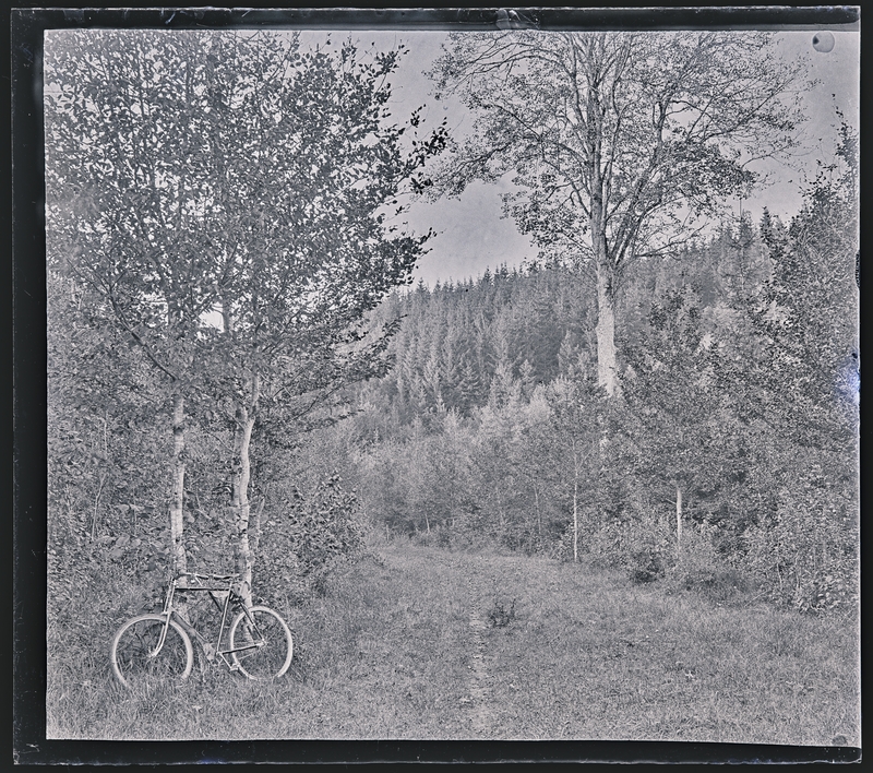 Georges Thiry, Environs de Nancy, Forêt de Haye : un vélo le long d’un chemin, 1906. Négatif gélatino-argentique sur plaque de verre, inv. 2019.0.1637