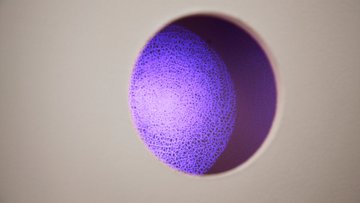 Aurélie Pertusot, Densité, 2017 (c) Coll. part., photo. Ville de Nancy