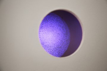 Aurélie Pertusot, Densité, 2017 (c) Coll. part., photo. Ville de Nancy