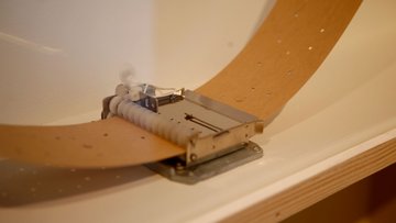 Aurélie Pertusot, La Boucle est bouclée, 2021 (c) Nancy, musée des Beaux-Arts, photo. Ville de Nancy